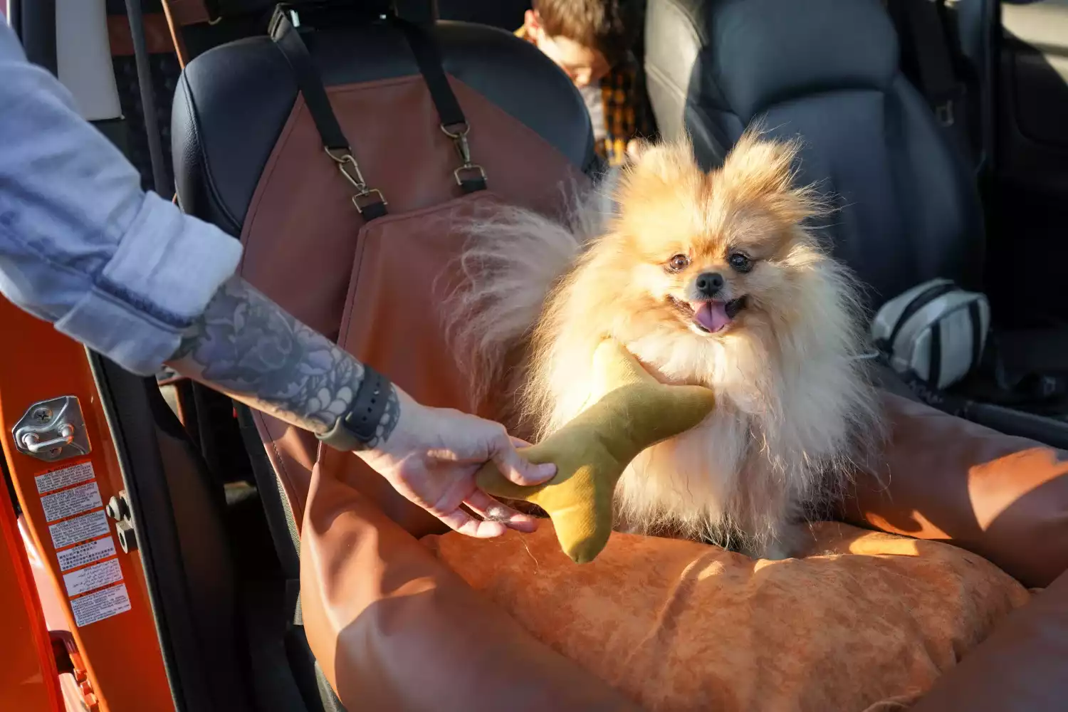 Cockapoos Dog Car Seat for Chevrolet Malibu