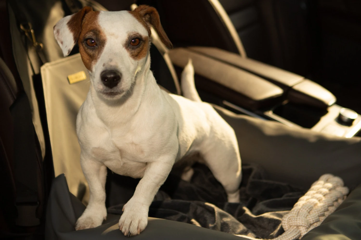 Subaru Forester Dog Car Seat for Manchester Terriers